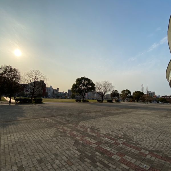 三萩野公園 - トップ画像