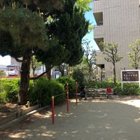 丸橋東公園 - 投稿画像2