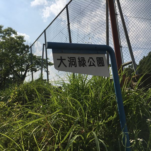 大洞緑公園 - トップ画像