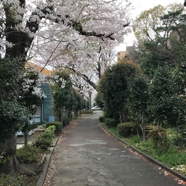 府中崖線本宿町緑地 - おすすめ画像