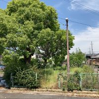 横井第8号街区公園 - 投稿画像3
