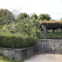 すりばち池緑地 - 投稿画像2