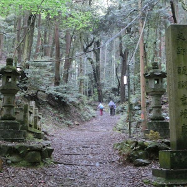 醍醐寺 - おすすめ画像