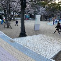 江坂公園 - 投稿画像2