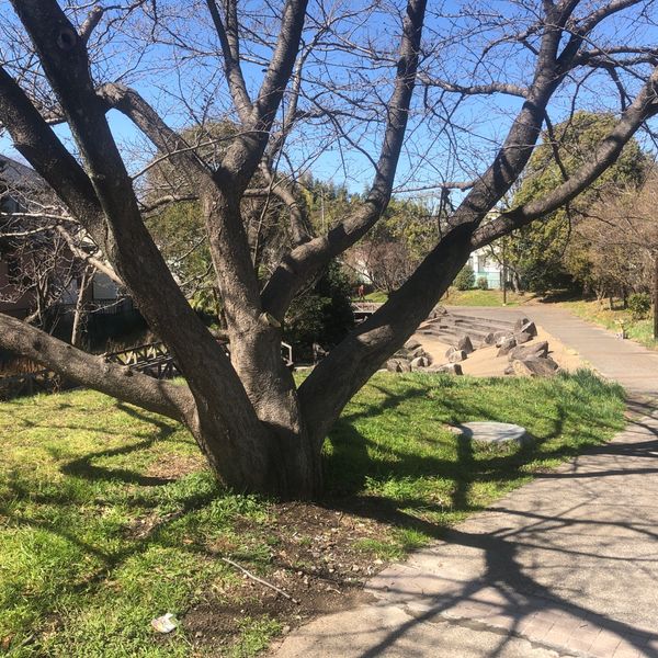 田原橋公園 - おすすめ画像