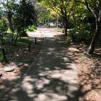 梅小路公園 - 投稿画像2