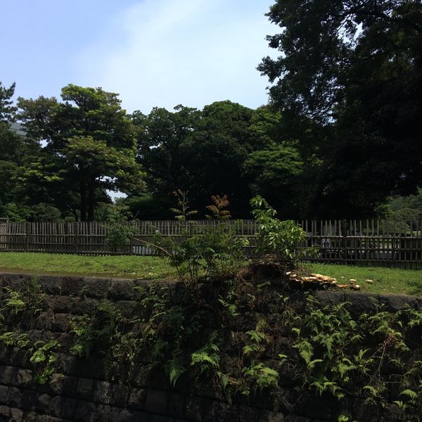 浜離宮恩賜庭園 - おすすめ画像