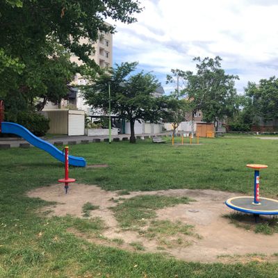 大学が見える公園 Nijuisseiki-no-Mori Park (21st Century Forest Park