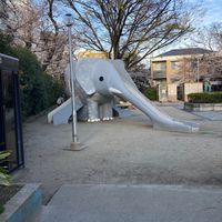 桜塚公園 - 投稿画像1