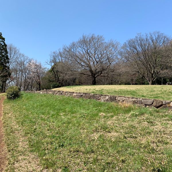 八国山緑地 ころころ広場 - トップ画像