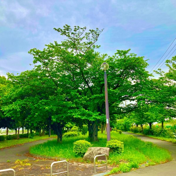 暁ふ頭公園（東側） - トップ画像