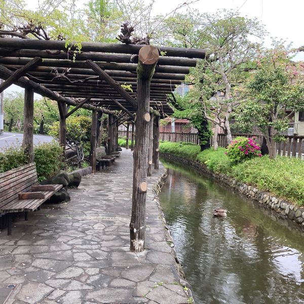 古川親水公園 - おすすめ画像