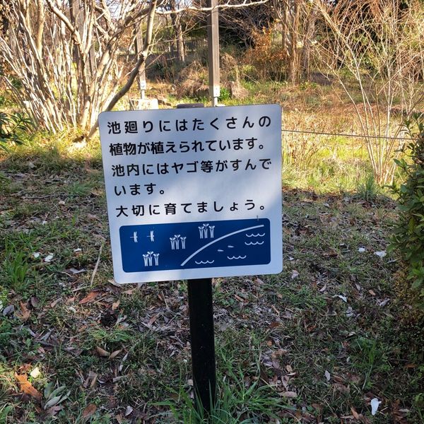 祖師谷公園　湿性植物園 - おすすめ画像