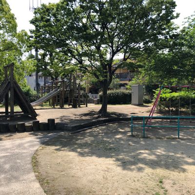 ぱんだ公園 138タワーパーク】 オバケすすき、パンパスグラスの穂が涼しげ