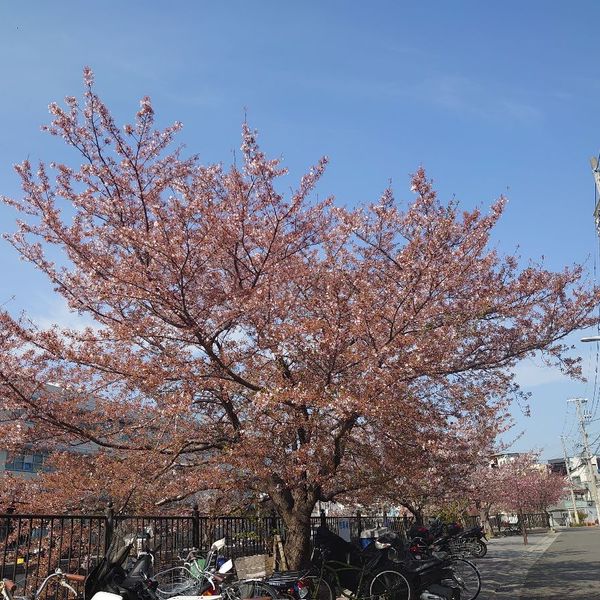 氷室橋 - おすすめ画像