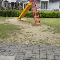 泉原第1号緑地 - 投稿画像2
