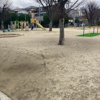 島田公園 - 投稿画像2