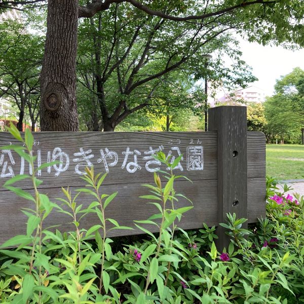 小松川ゆきやなぎ公園 - トップ画像