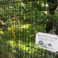 梅が丘西公園 - 投稿画像1