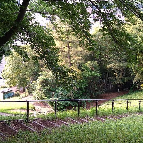 西寺尾の丘公園（公園） | MEQQE（めっけ）