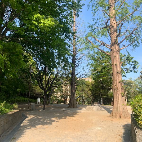 三田丘の上公園 - トップ画像