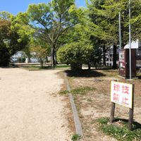 宮の森 - 投稿画像2