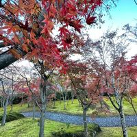 Hakone Bijutsukan (Museum Seni Hakone) - 投稿画像1