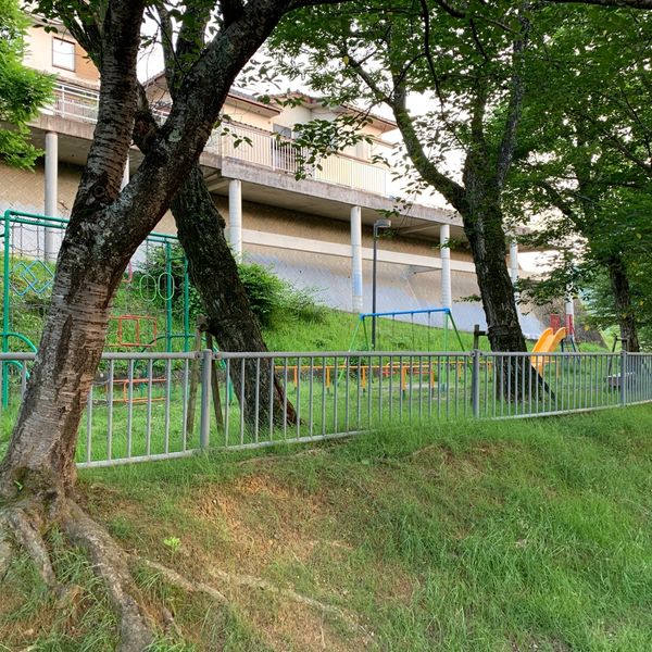 西つつじヶ丘公園 - おすすめ画像