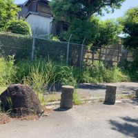 今市緑地 - 投稿画像1