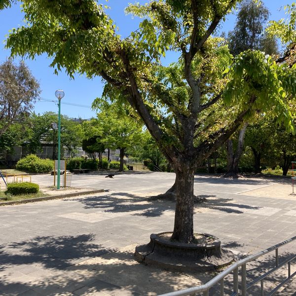 もものき公園 - おすすめ画像