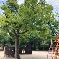 刀根山公園 - 投稿画像3