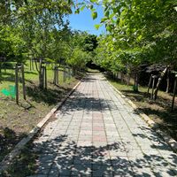 知利別公園 - 投稿画像2