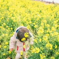 長井海の手公園　ソレイユの丘 - 投稿画像3