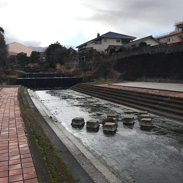 南荘園町第2幼児公園 - トップ画像