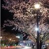 小山駅西口祇園城通り - トップ画像