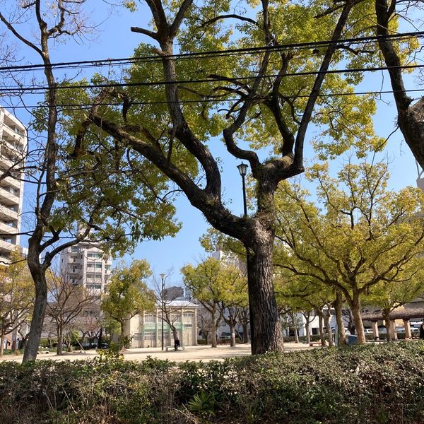 松川公園 - トップ画像