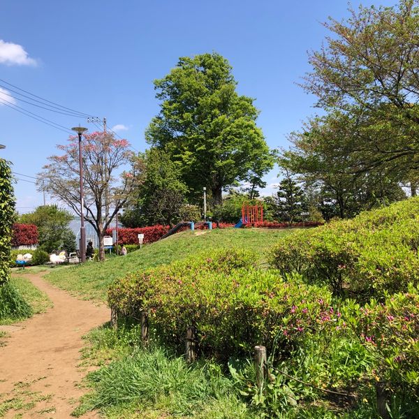 大道北三十三志公園 - おすすめ画像