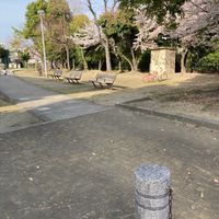 岸部中第1公園 - 投稿画像0