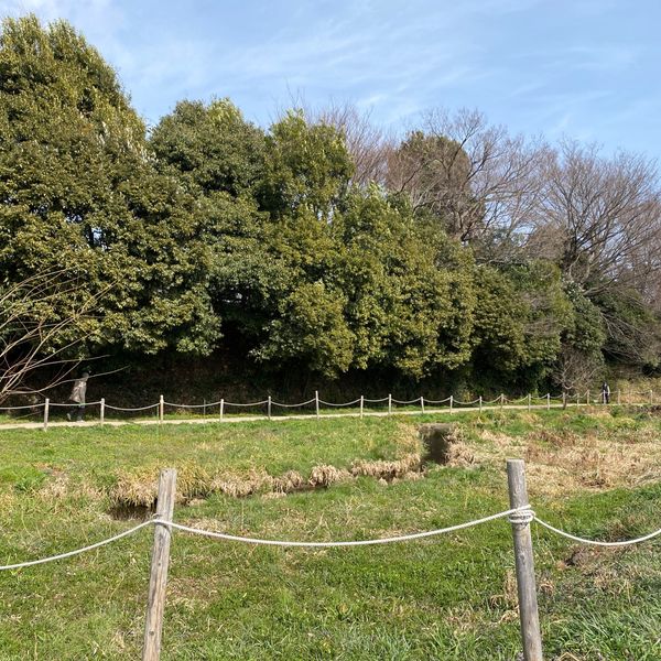 ママ下湧水公園 - おすすめ画像