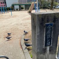 今屋敷 - 投稿画像3