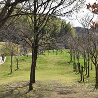 大阪府営泉佐野丘陵緑地 - 投稿画像3