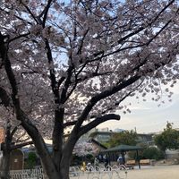 吹一公園 - 投稿画像1