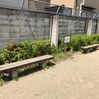 御領田 - 投稿画像3