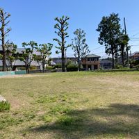 ゆりのき公園 - 投稿画像0