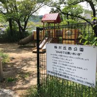 梅が丘西公園 - 投稿画像3