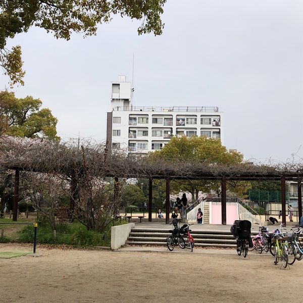御代開公園 - おすすめ画像