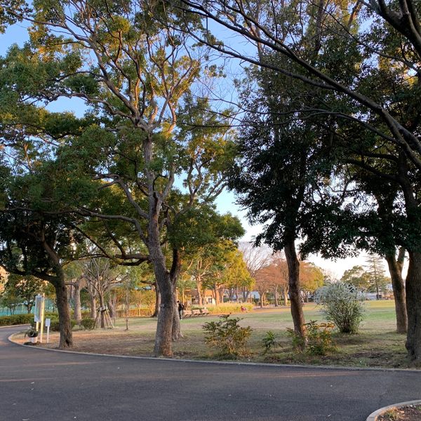 金井公園 - トップ画像