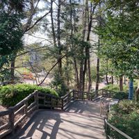 片山公園 - 投稿画像1