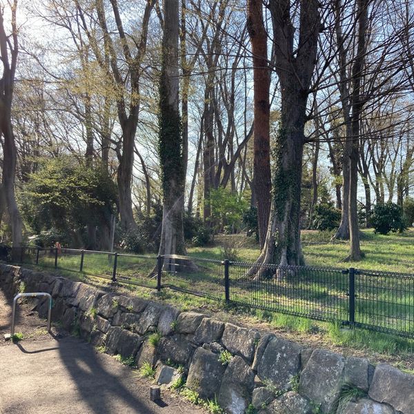 玉川上水緑道 牟礼園地 - トップ画像