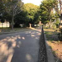 東野 - 投稿画像2